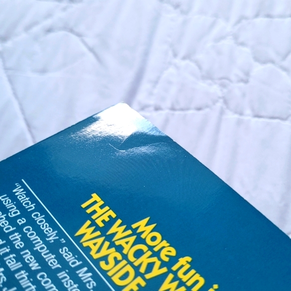 2/$15 🌼 Wayside School Is Falling Down - Picture 4 of 8